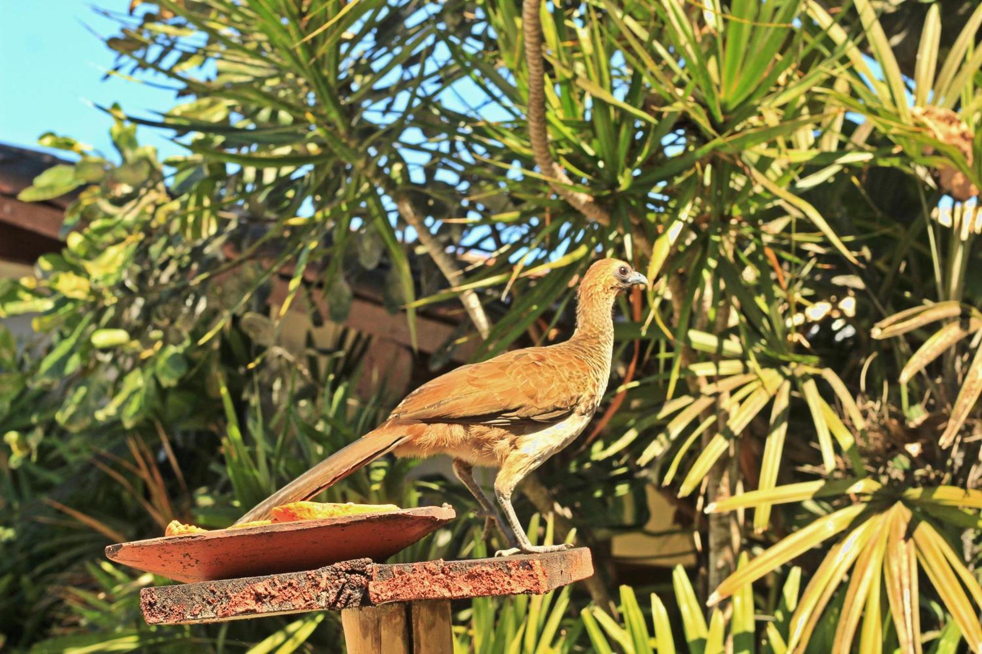 Pousada Fragata - Arraial D Ajuda - Melhor Localizacao E Atendimento Arraial d'Ajuda ภายนอก รูปภาพ